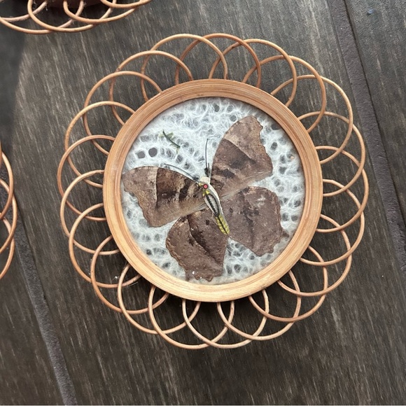 VTG Wicker Rattan Pressed Butterfly Coasters Set of 6 - Picture 4 of 5